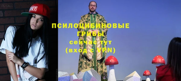 дживик Алексин