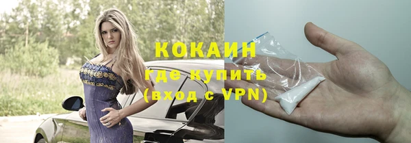 дживик Алексин