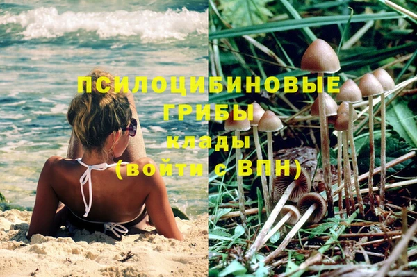 дживик Алексин